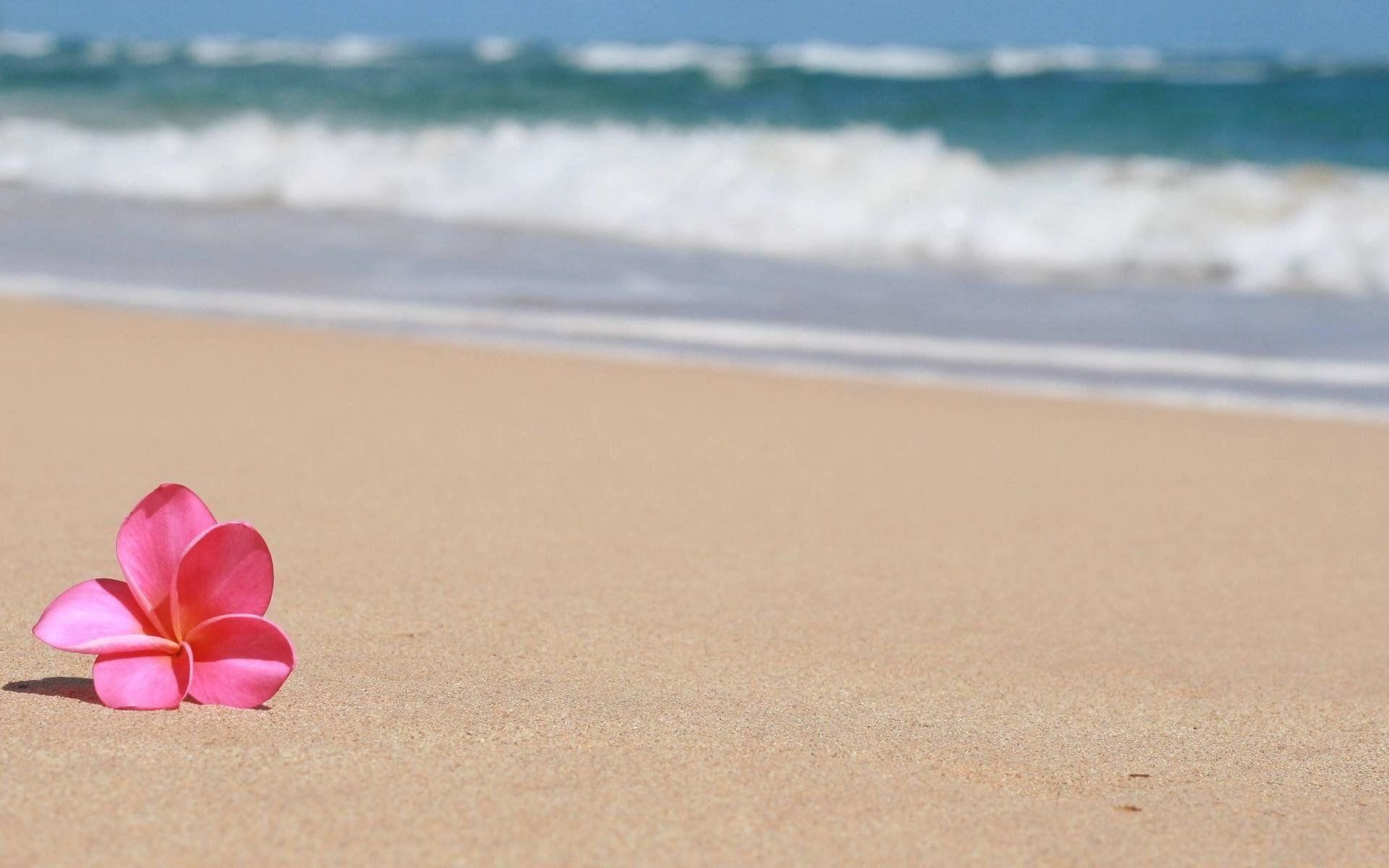 Hawaiian Flowers Wallpaper (48+ pictures)