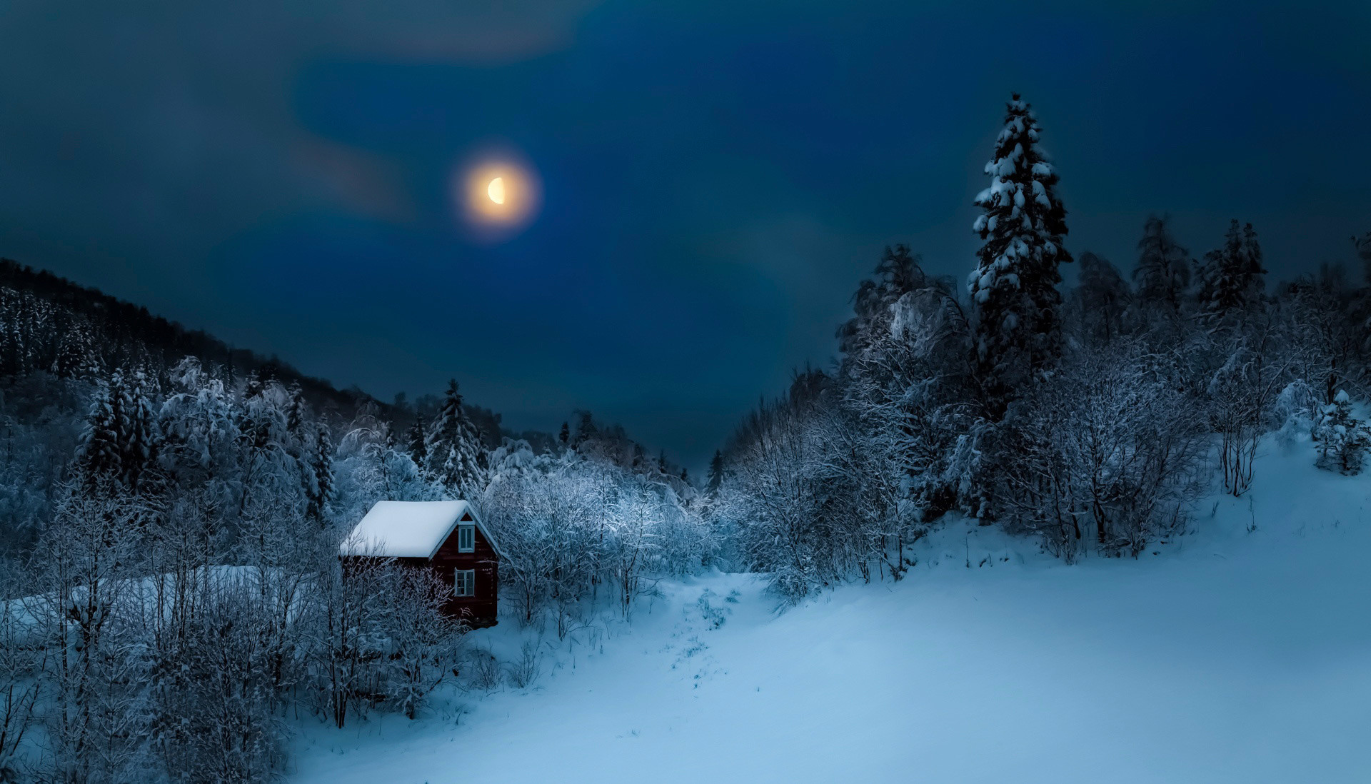 Winter Night Wallpaper (81+ pictures)