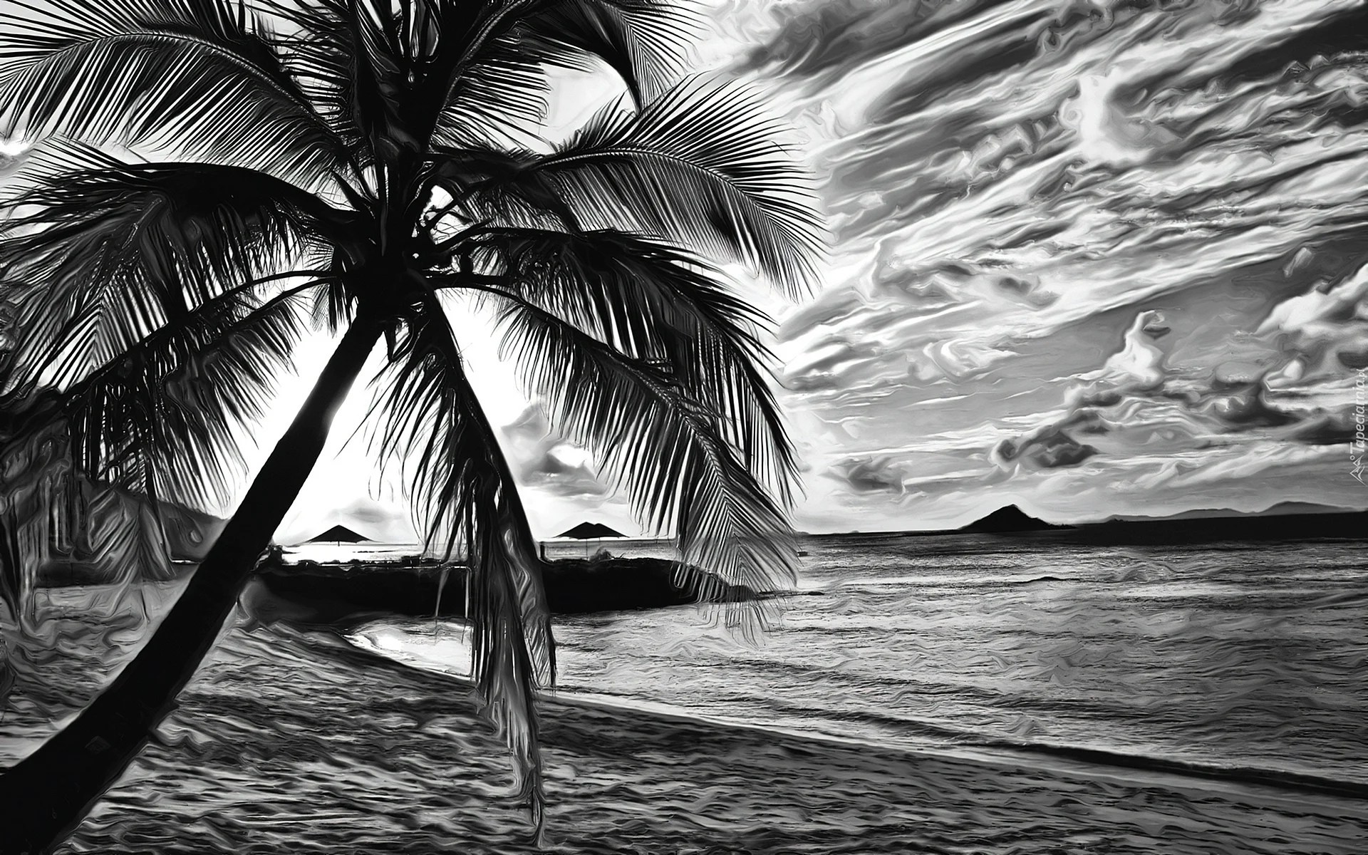 Black And White Tropical Wallpapers WallpapersHigh