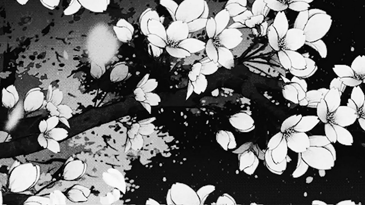 Black And White Anime Aesthetic Wallpapers Free Black And White Anime