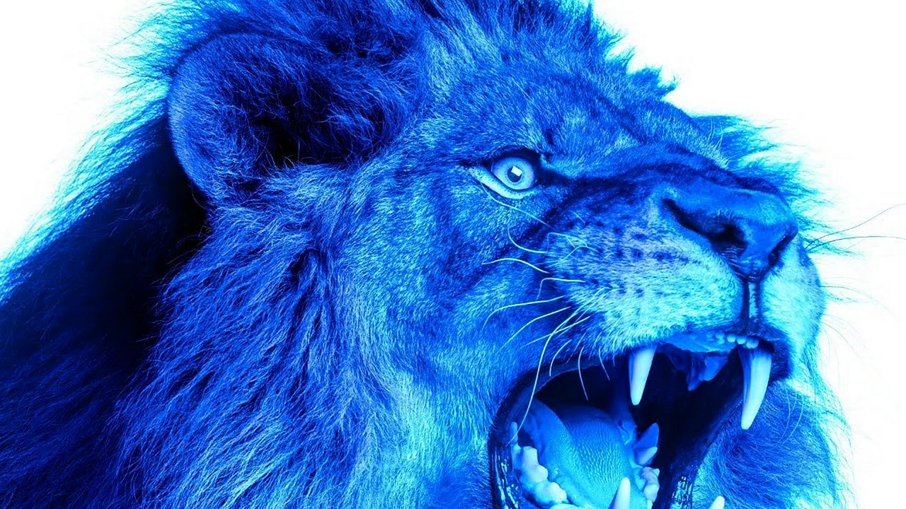Blue Lightning Lion Wallpapers Free Blue Lightning Lion Backgrounds
