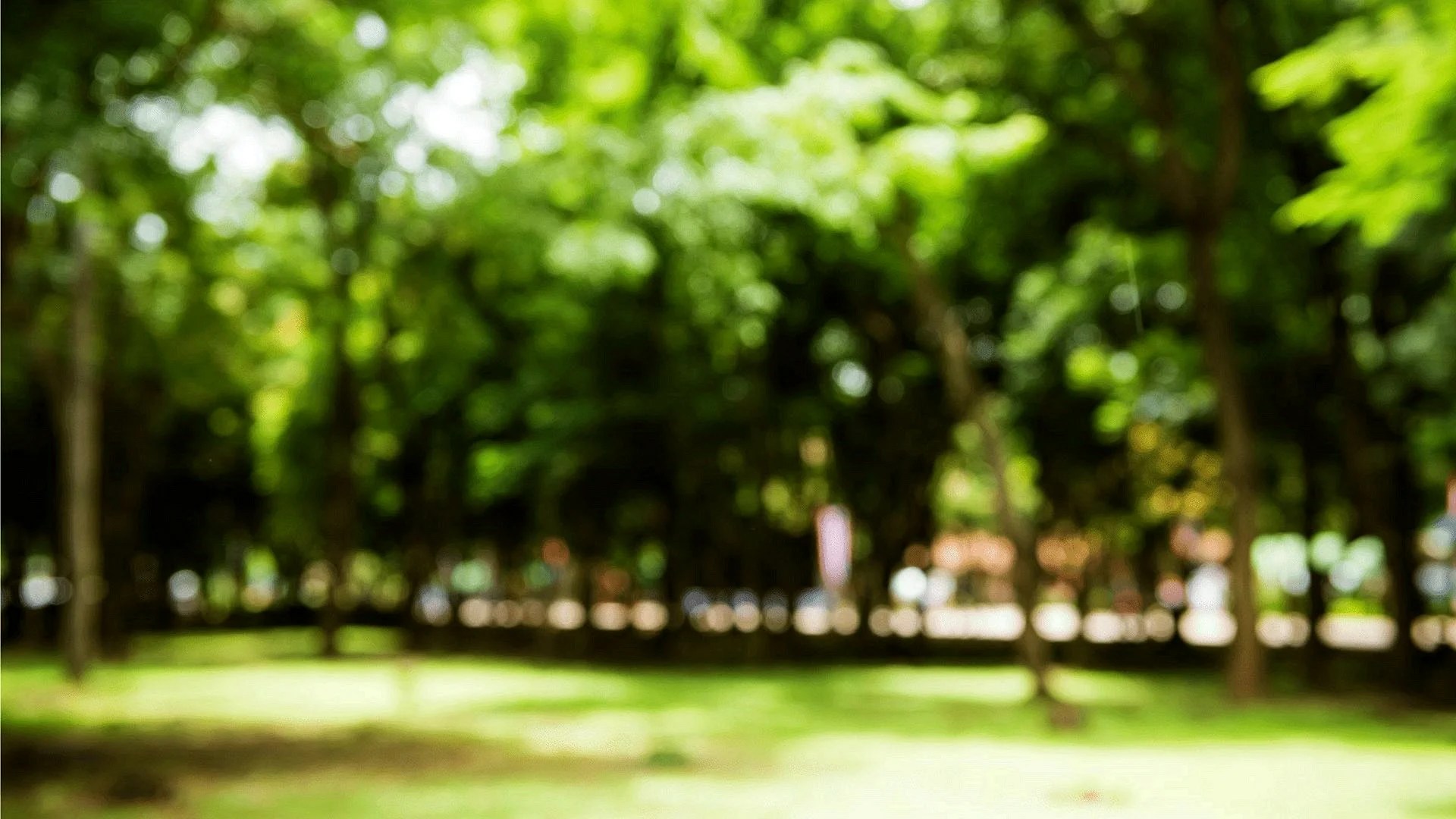 High Resolution Zoom Backgrounds WallpapersHigh