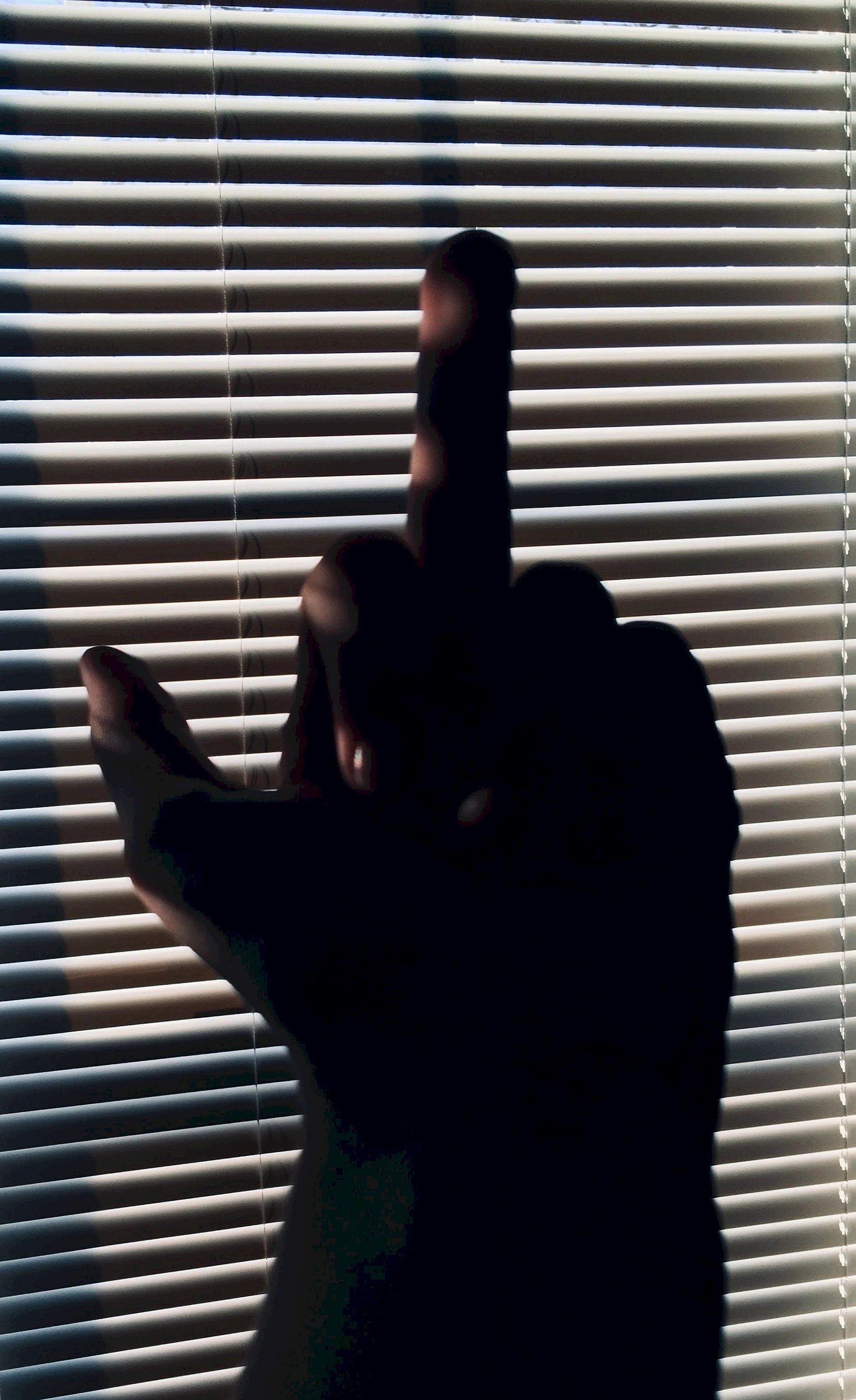 Aesthetic Middle Finger Wallpapers WallpapersHigh