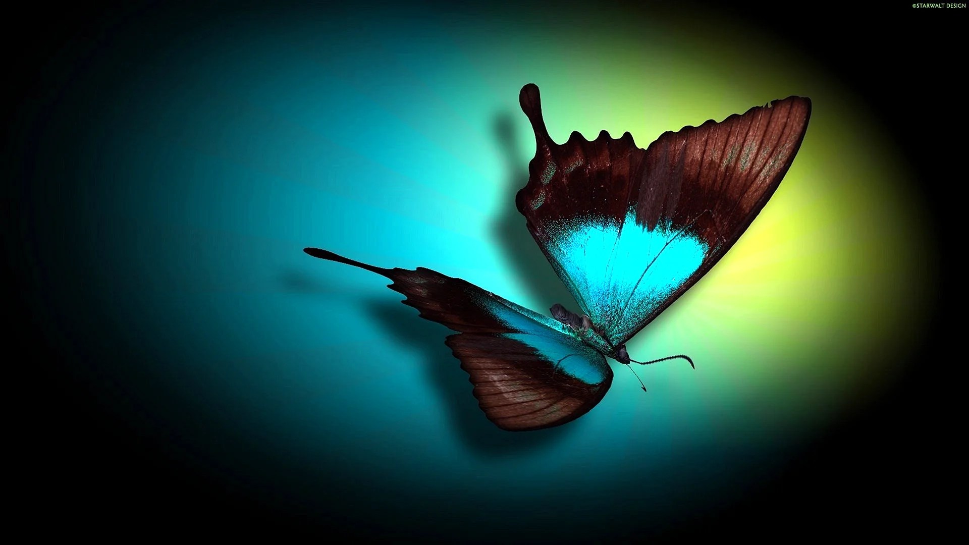 Cute Blue Butterfly Wallpapers Free Cute Blue Butterfly Backgrounds WallpapersHigh