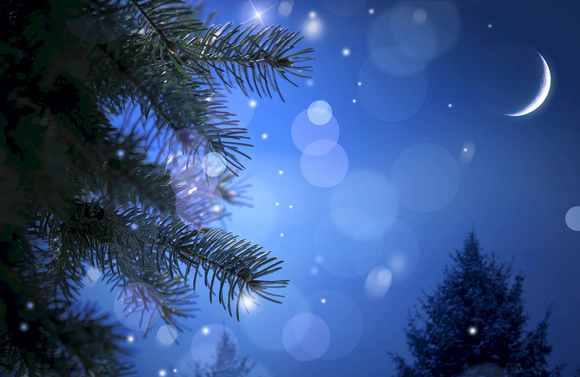 Christmas Tree Live Wallpapers WallpapersHigh
