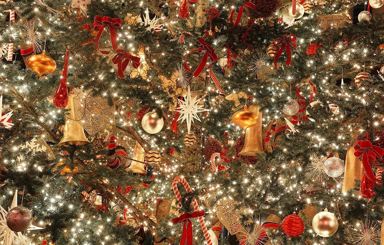 Christmas Tree Live Wallpapers WallpapersHigh