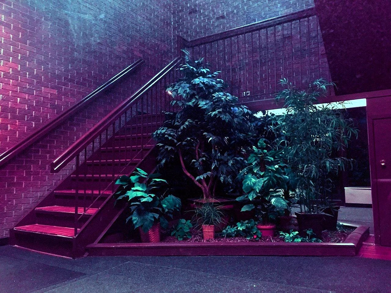 Red And Green Aesthetic Wallpapers WallpapersHigh