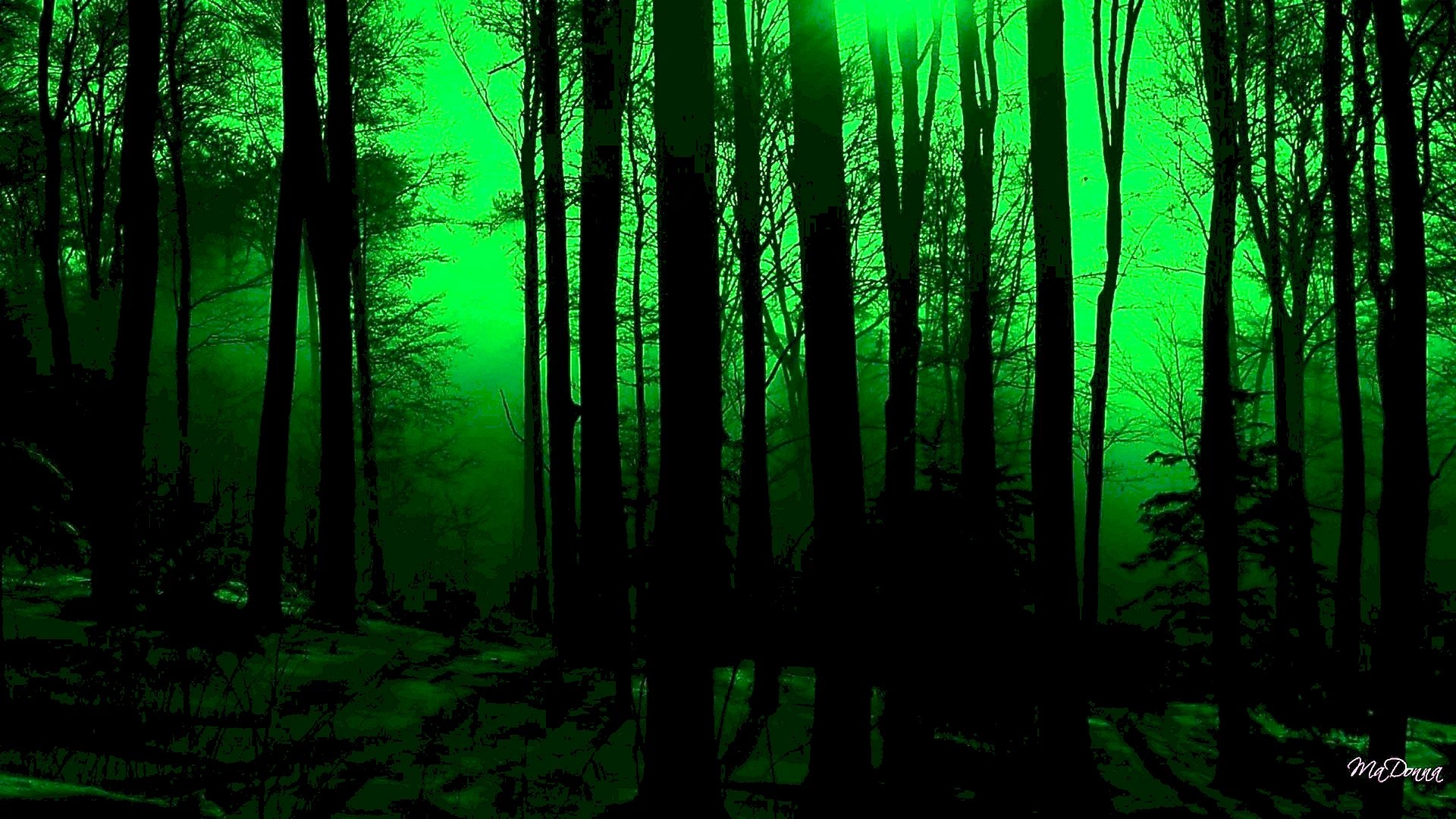 Dark Green Desktop Wallpapers Free Dark Green Desktop Backgrounds