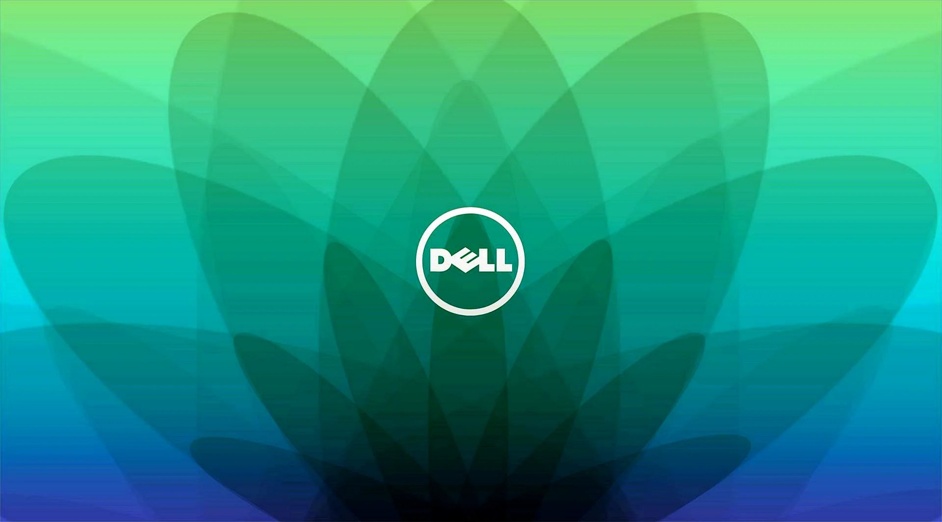 Download Dell Laptop Wallpaper WallpapersHigh