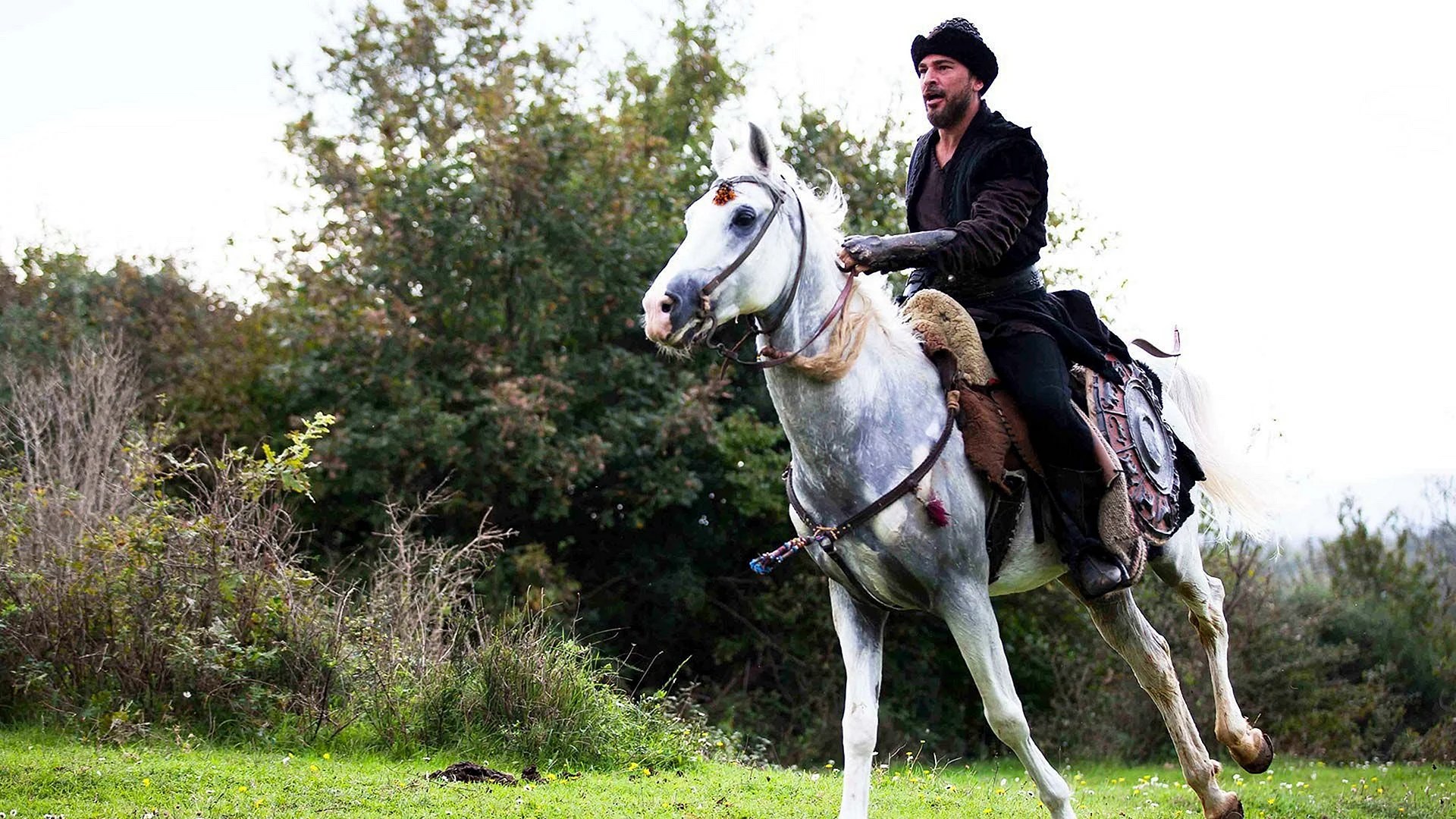 Horse Ertugrul Wallpapers Free Horse Ertugrul Backgrounds