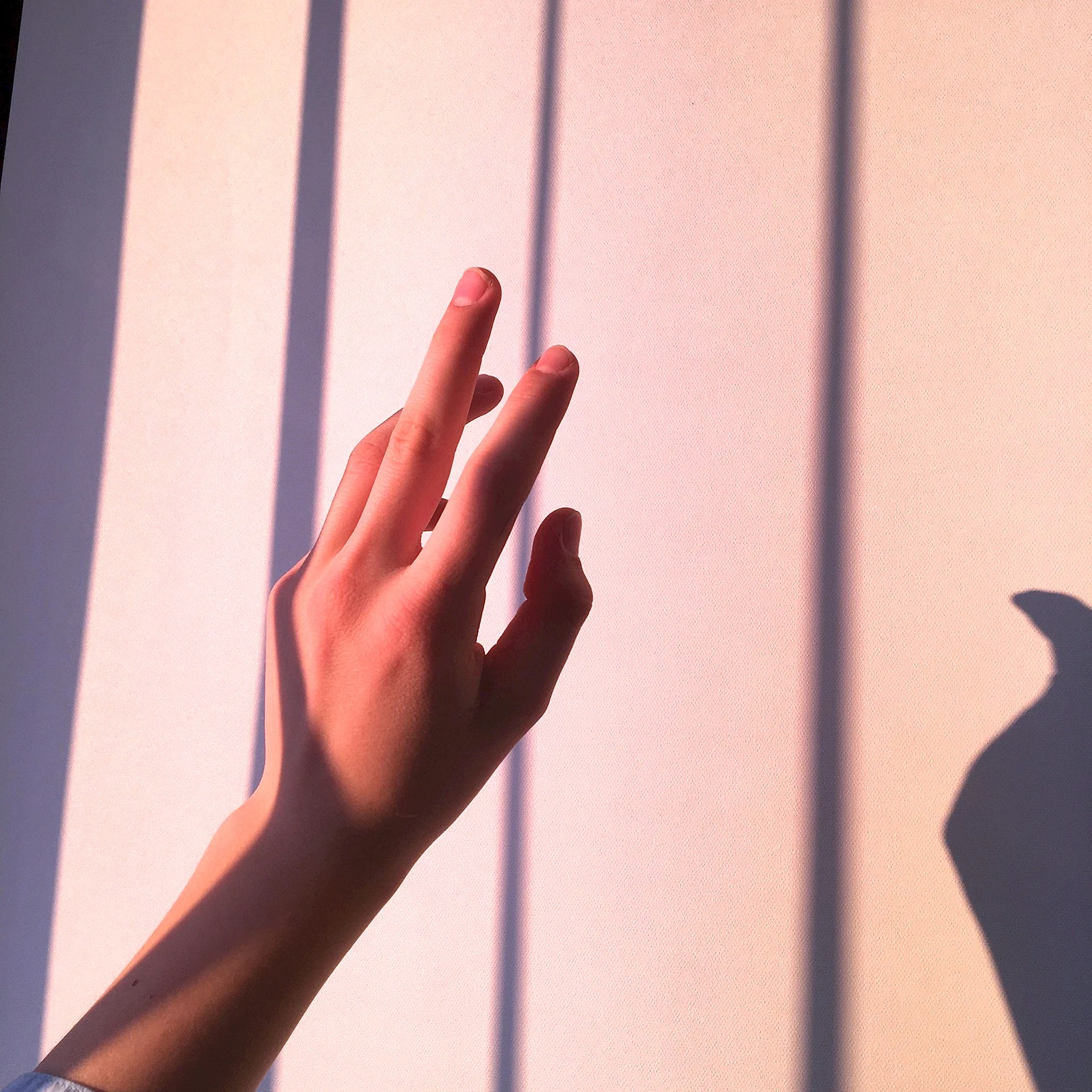 Aesthetic Middle Finger Wallpapers WallpapersHigh