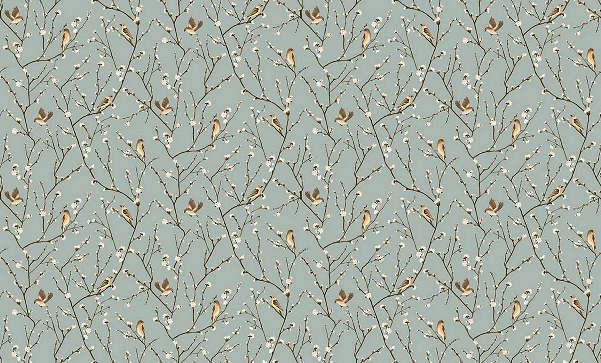 Graham And Brown Resplendence Wallpapers Free Graham And Brown Resplendence Backgrounds