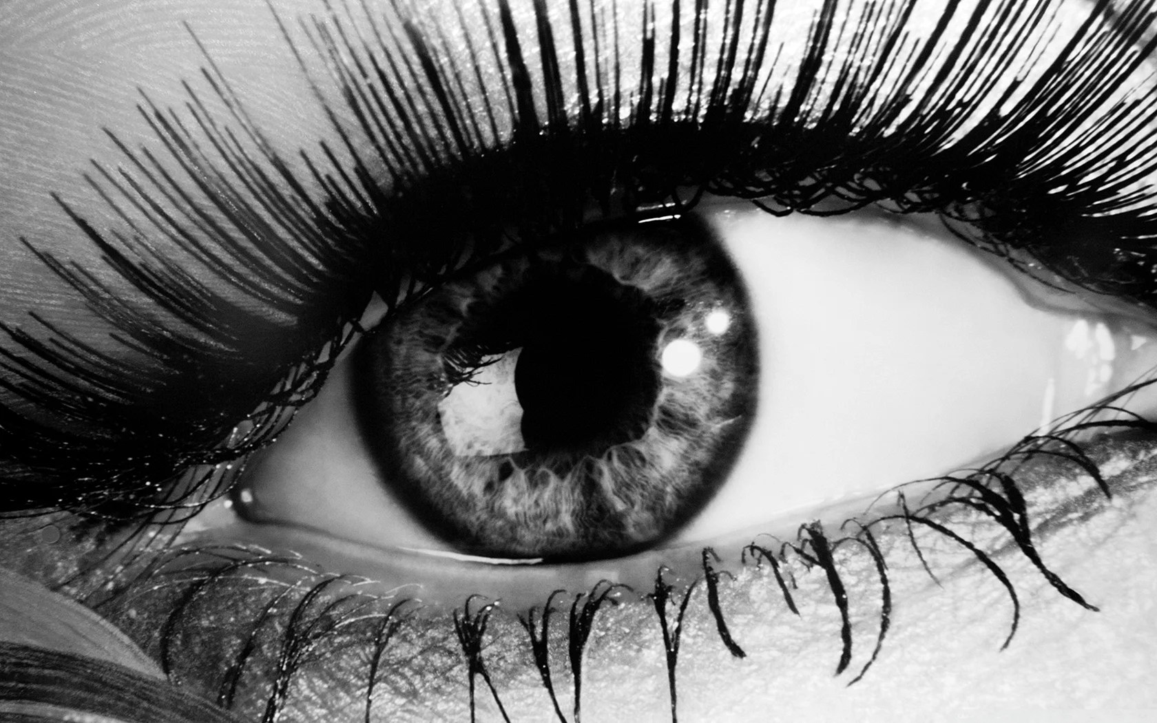 Black Eyes Wallpapers WallpapersHigh