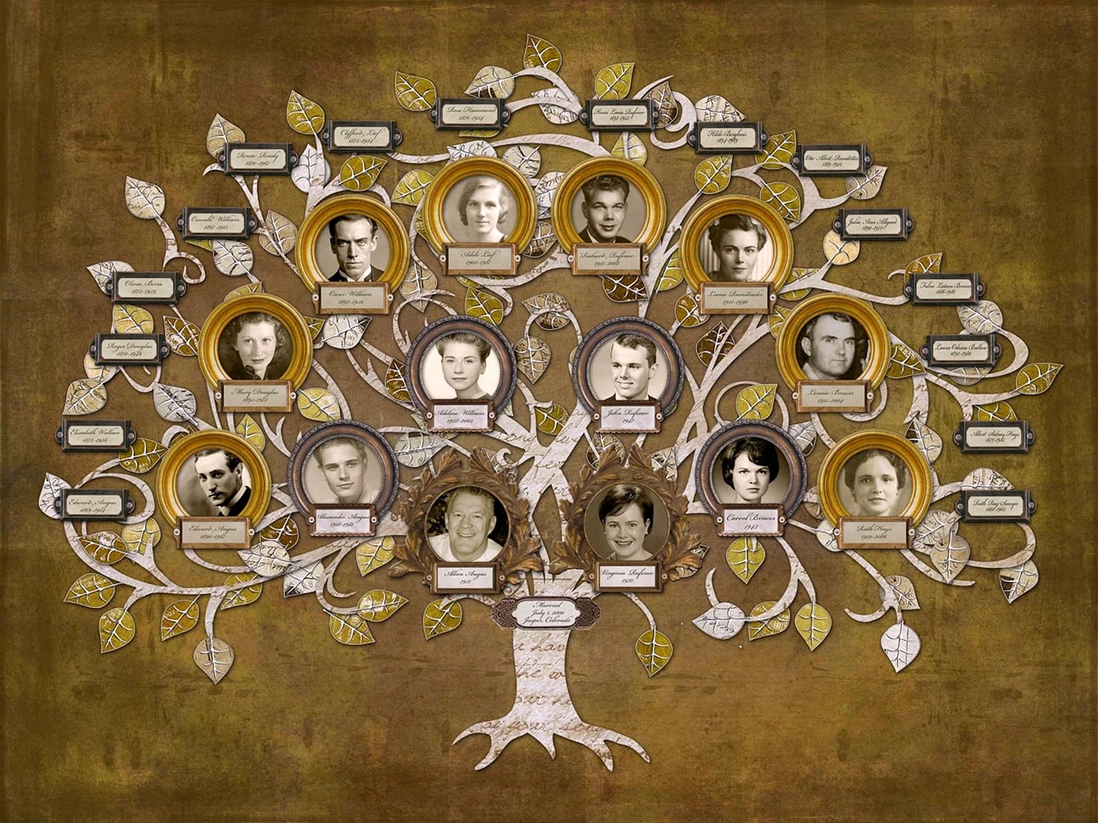 Black Family Tree Wallpapers Free Black Family Tree Backgrounds