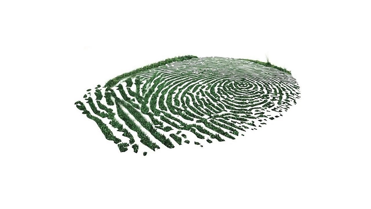 Fingerprint Animation Live Wallpapers Free Fingerprint Animation Live