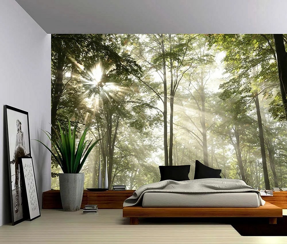 Forest Wall Mural Wallpapers Free Forest Wall Mural Backgrounds