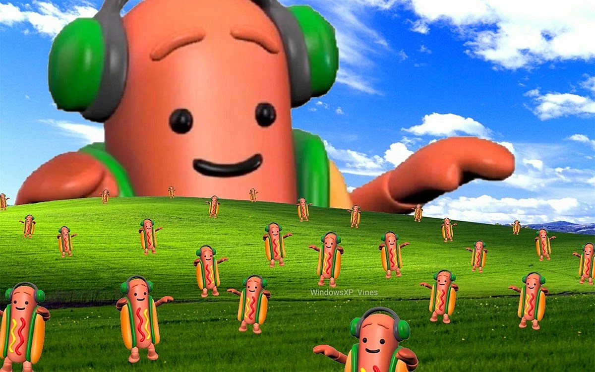 Funny Zoom Background Wallpaper Wallpapers High Resolution