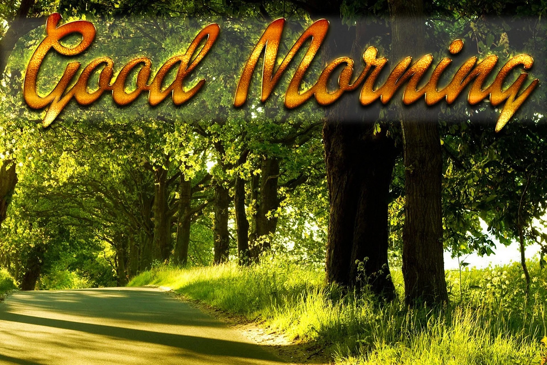 Good Morning Wishes With Beautiful Scenery Wallpapers Free Good
