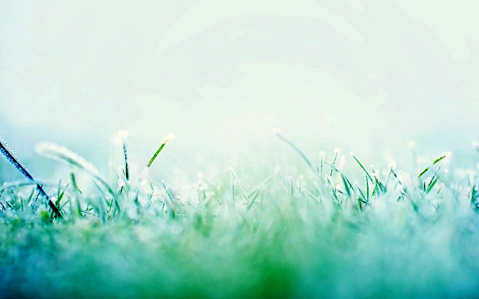 White Grass Cloth Wallpapers WallpapersHigh