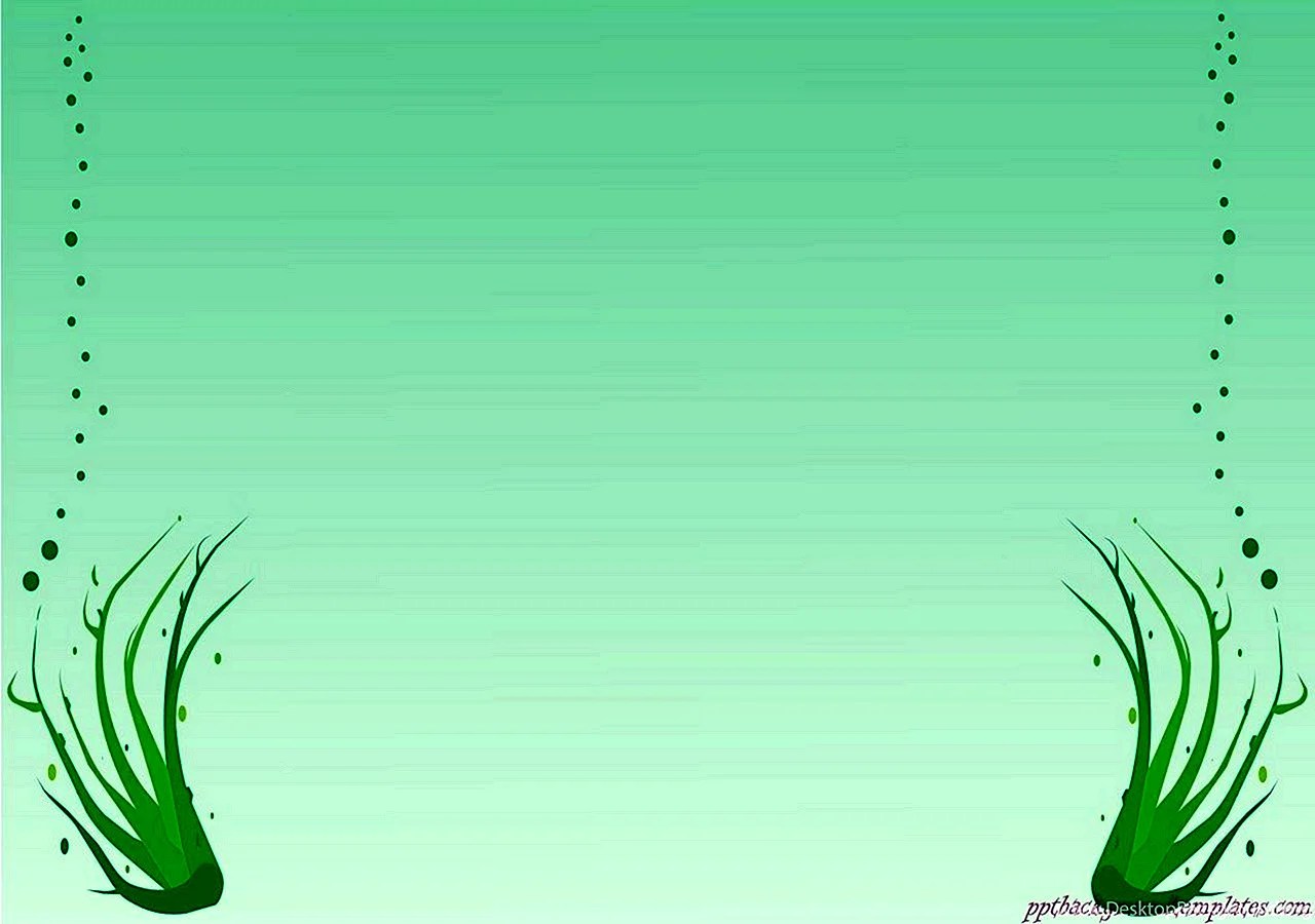 Green Border Wallpapers Free Green Border Backgrounds WallpapersHigh