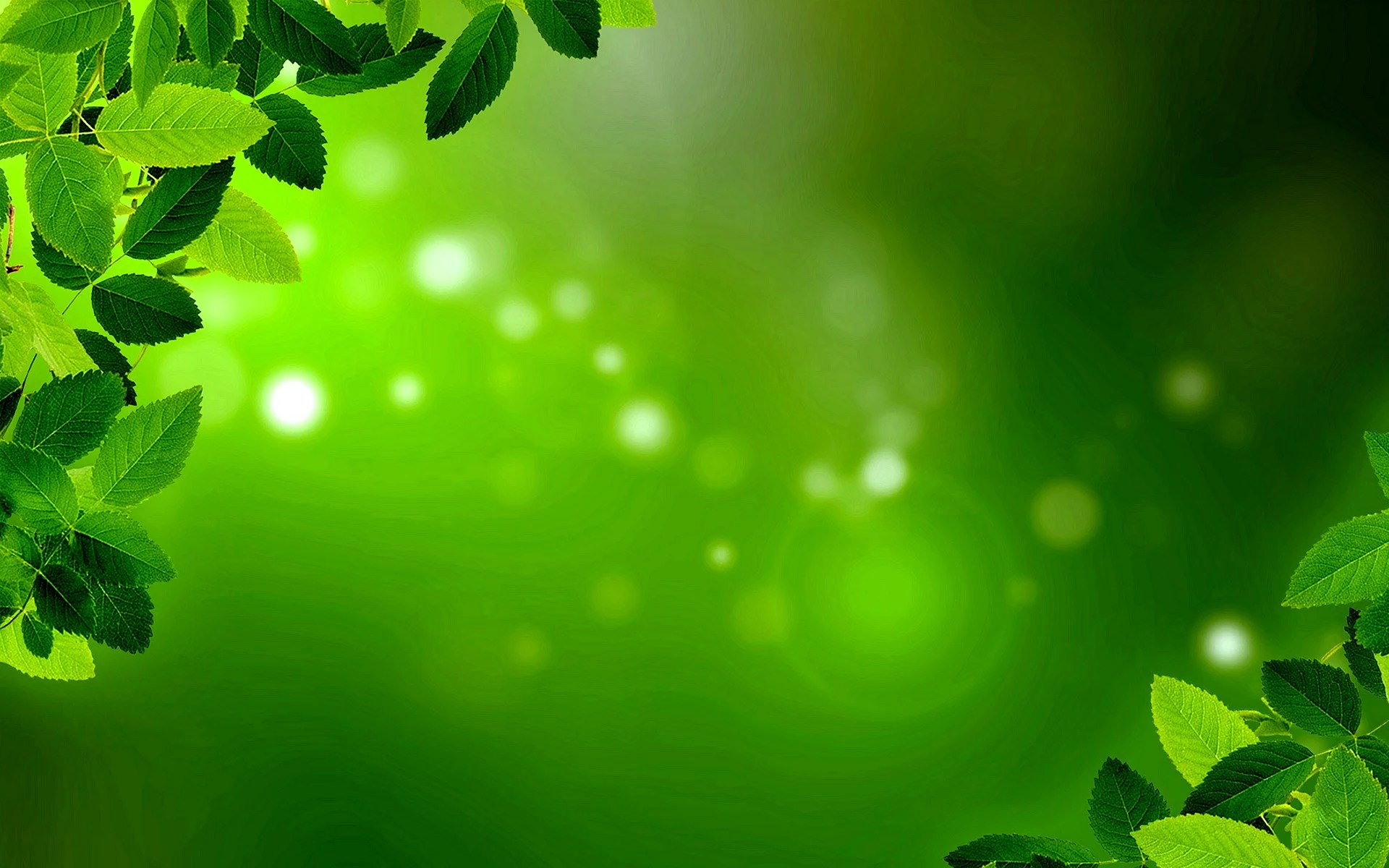 Green Border Wallpapers Free Green Border Backgrounds WallpapersHigh