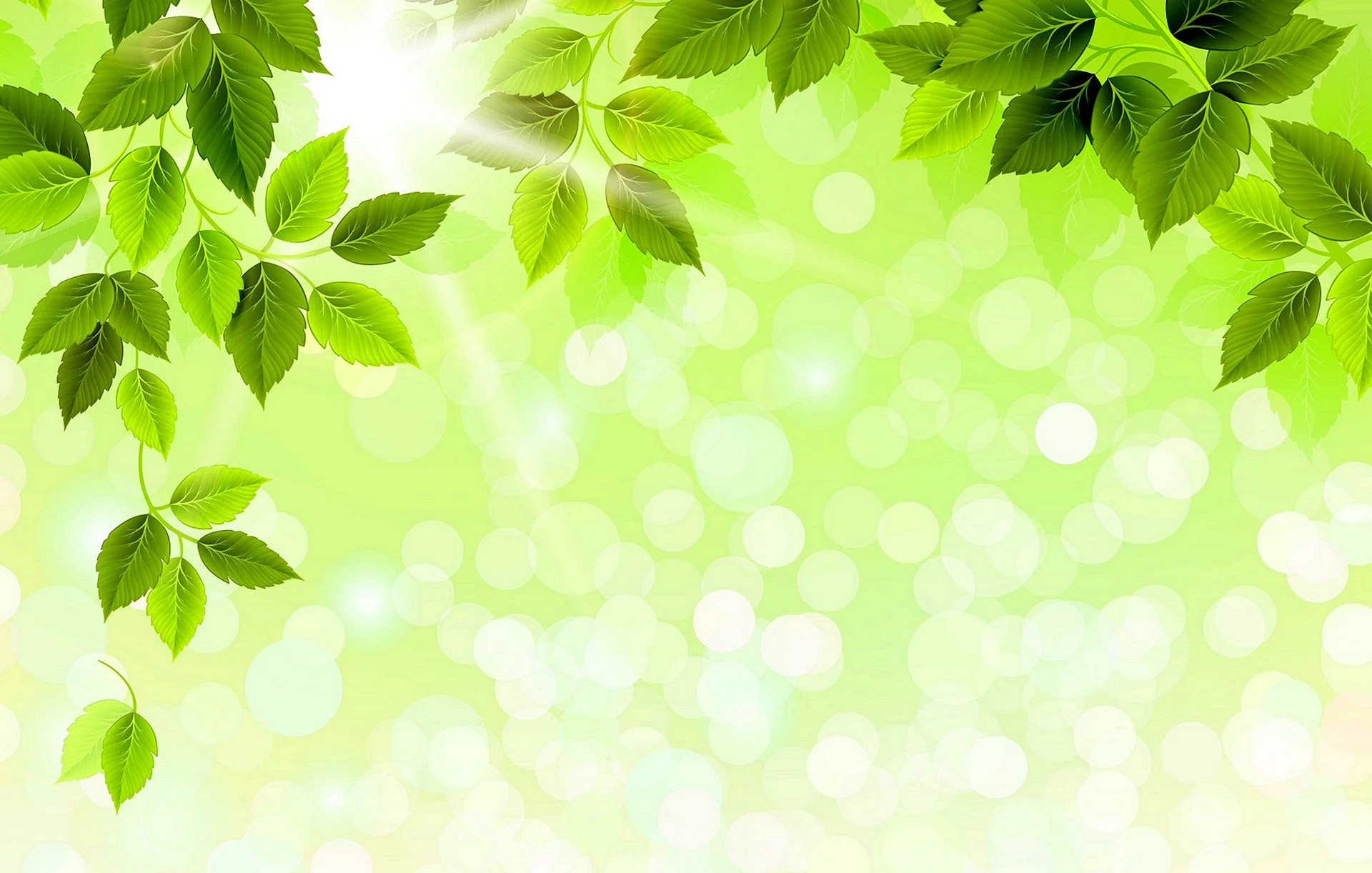 Green Border Wallpapers Free Green Border Backgrounds WallpapersHigh