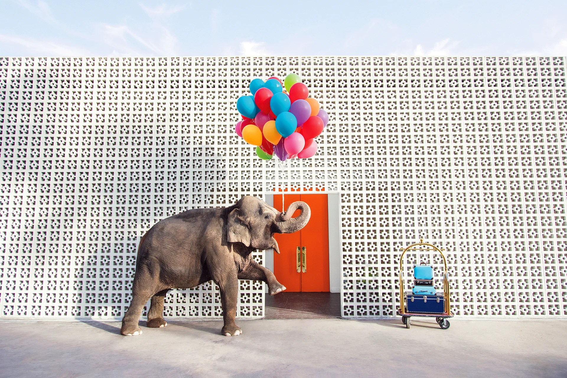 Gray Malin Wallpapers WallpapersHigh