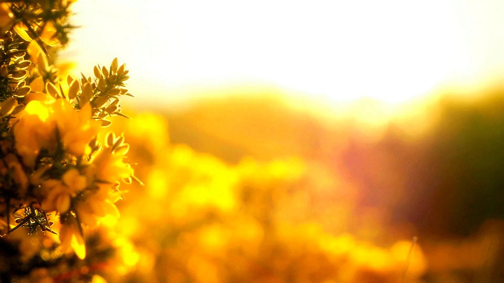 Inspirational Without Words Wallpapers WallpapersHigh