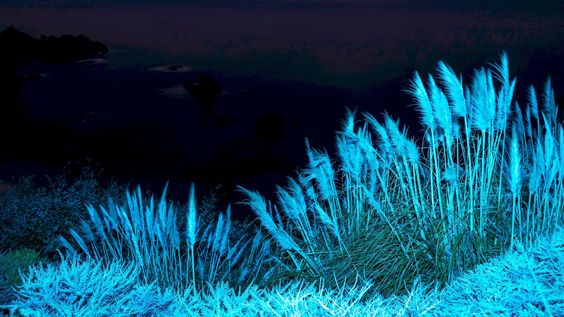 Download Mac Os Big Sur 4K Wallpaper WallpapersHigh