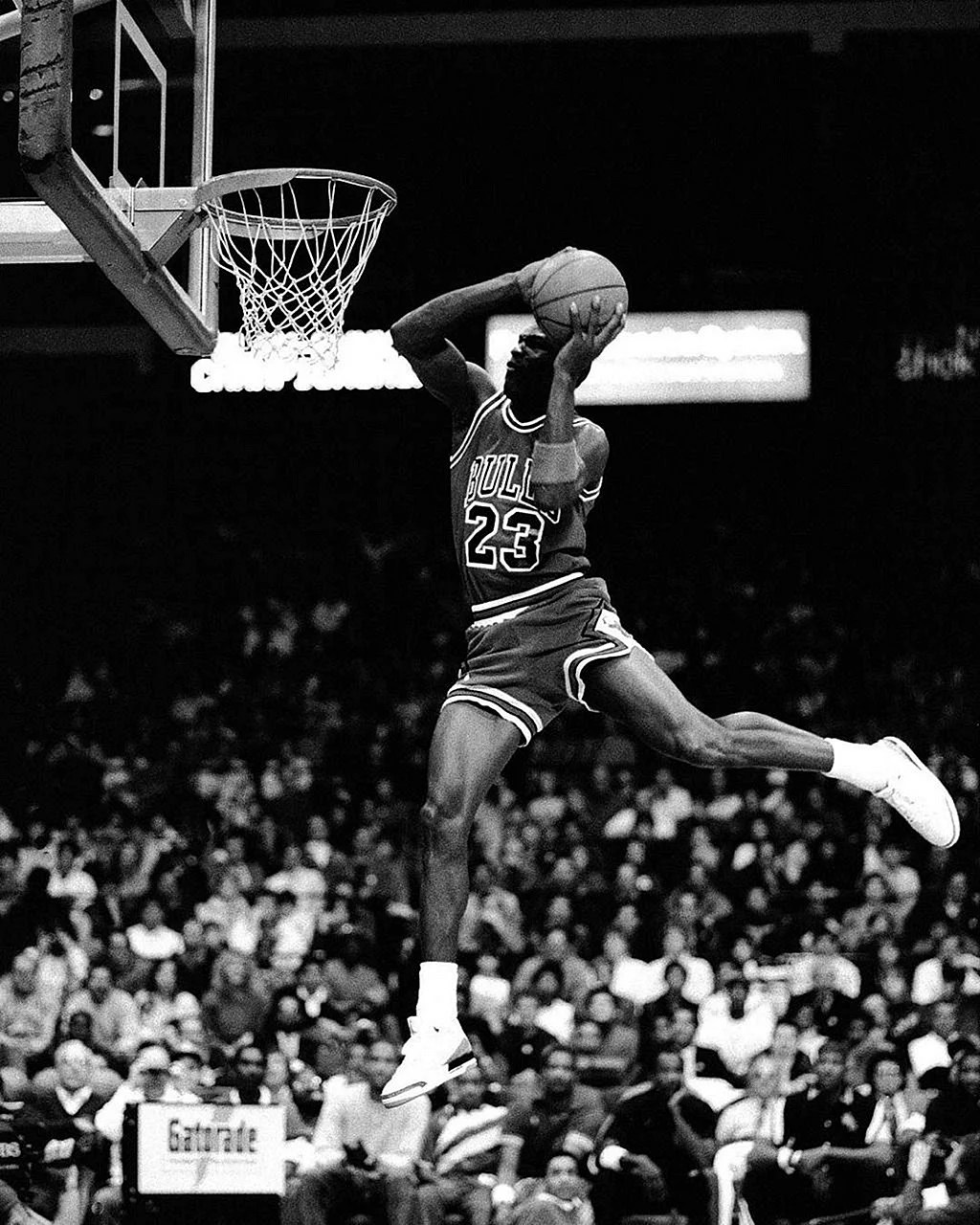 Michael Jordan Live Wallpapers WallpapersHigh