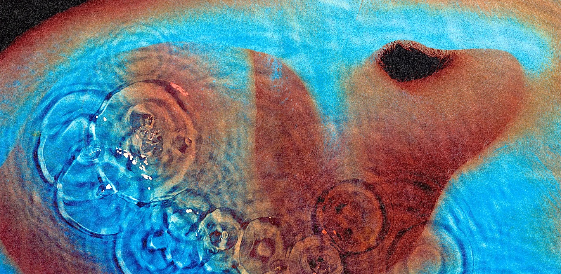 Download Pink Floyd Meddle Wallpaper WallpapersHigh