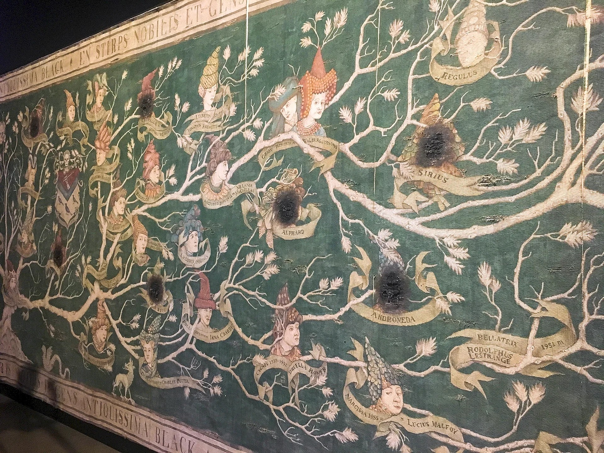 Sirius Black Family Tree Wallpapers WallpapersHigh