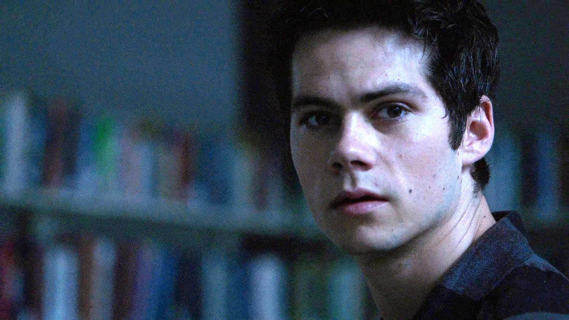 Stiles Stilinski Wallpapers WallpapersHigh