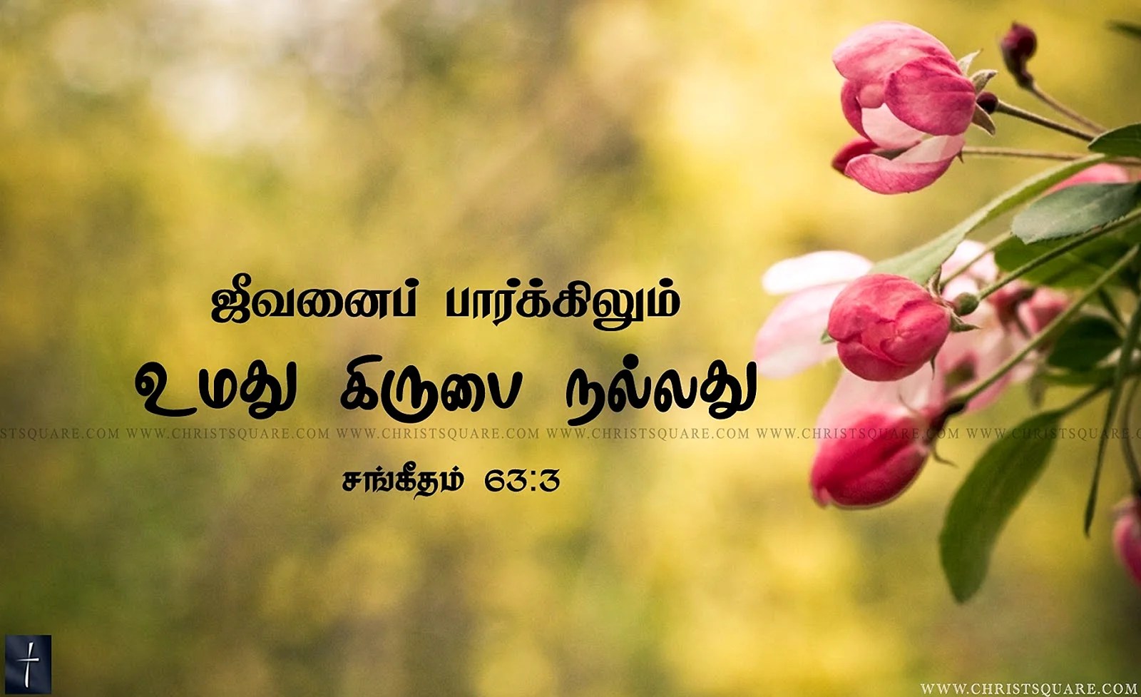 Bible Verses In Tamil Wallpapers WallpapersHigh