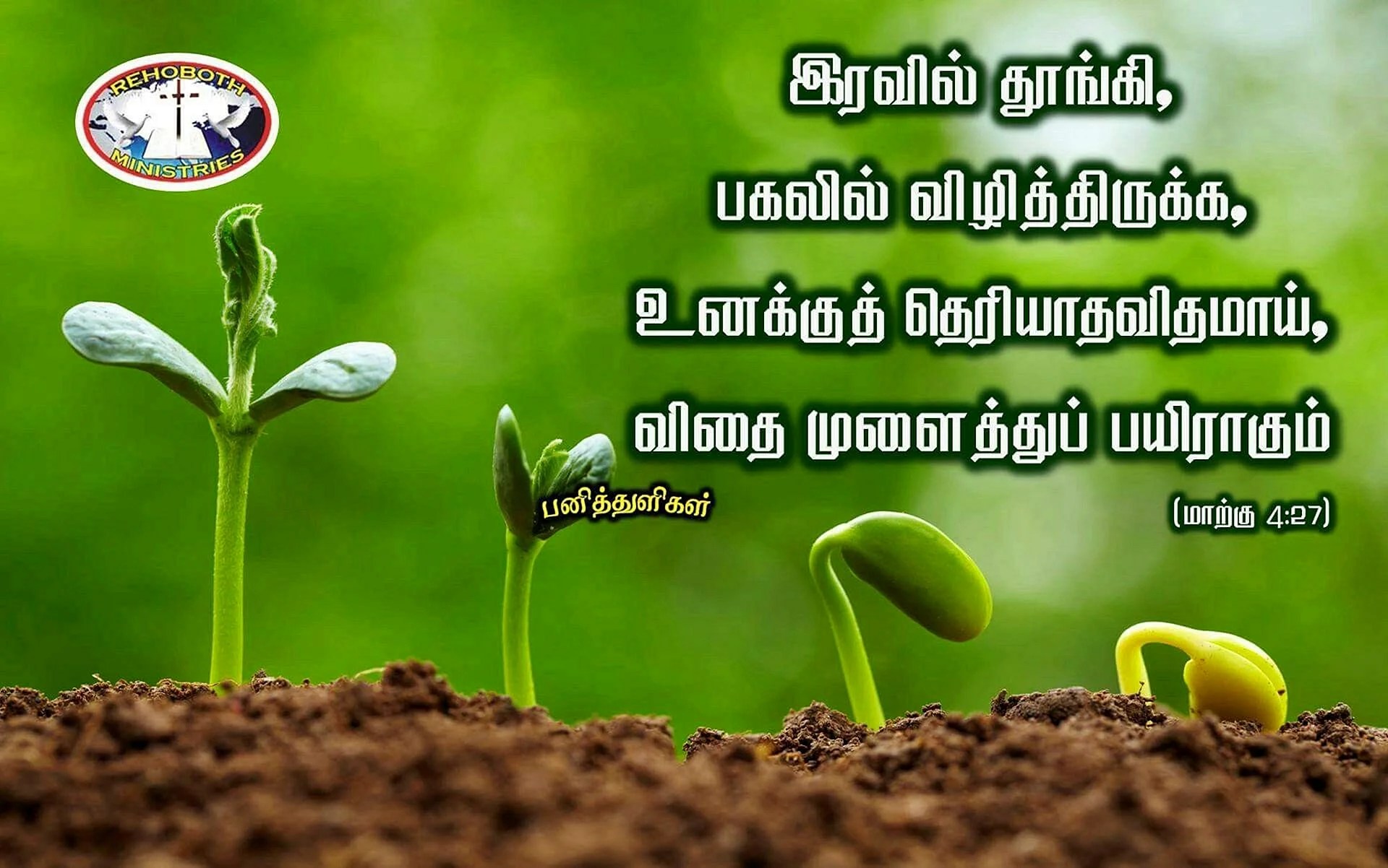 Bible Verses In Tamil Wallpapers WallpapersHigh