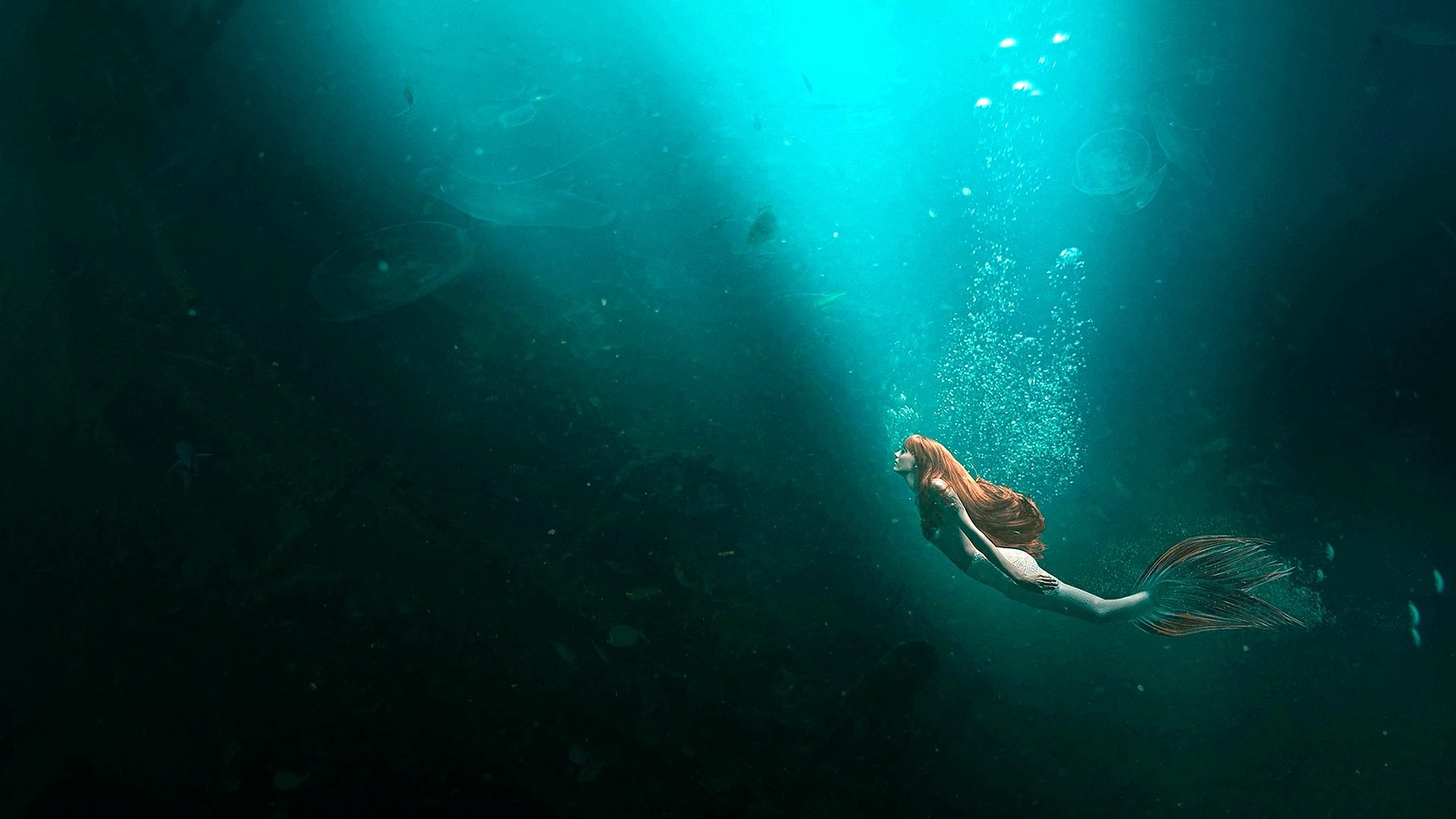 Download Underwater Mermaid Wallpaper WallpapersHigh