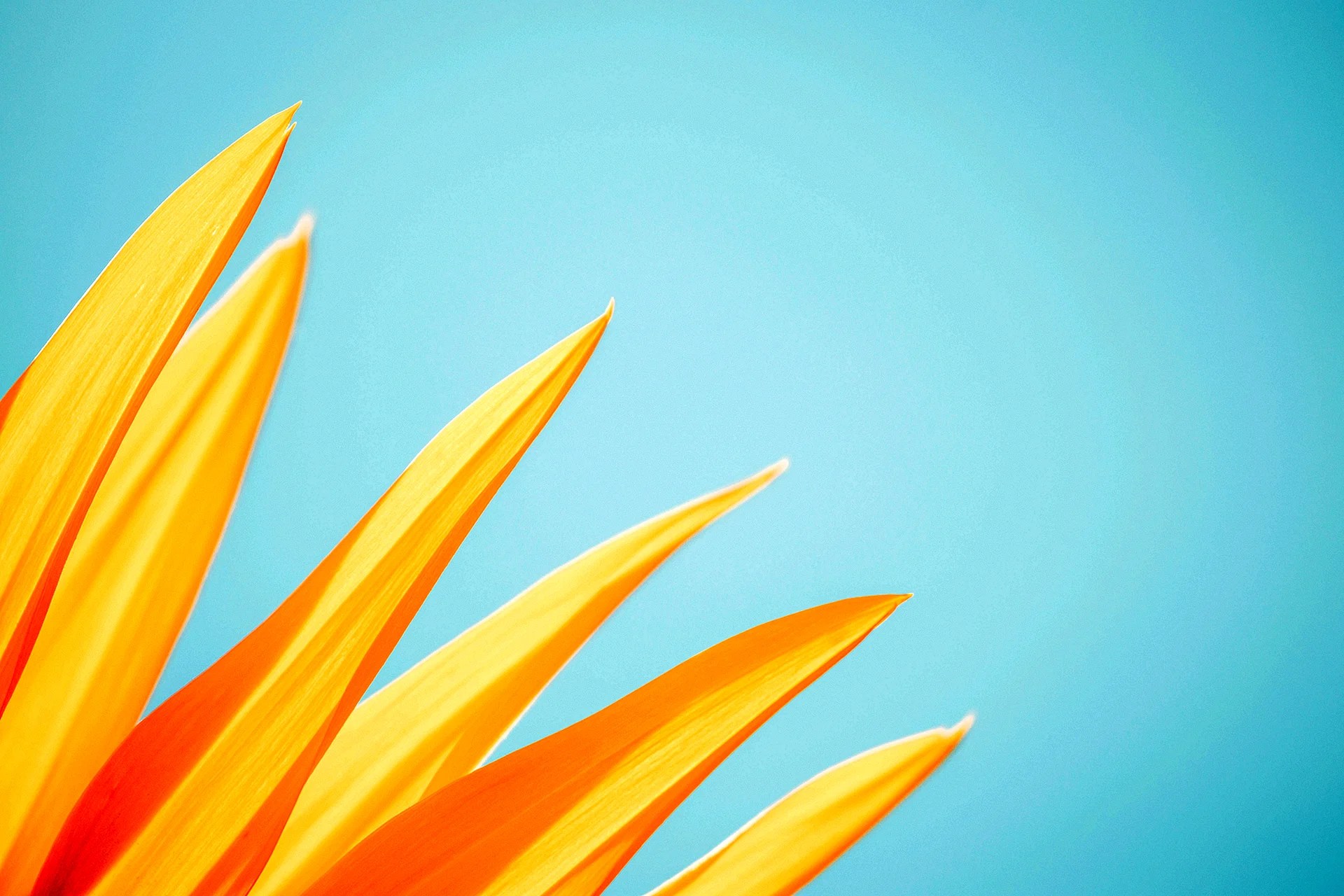 Blue And Yellow Aesthetic Wallpapers Free Blue And Yellow Aesthetic