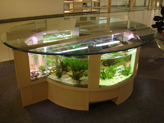 Shaped Coffee Table Fish Tank