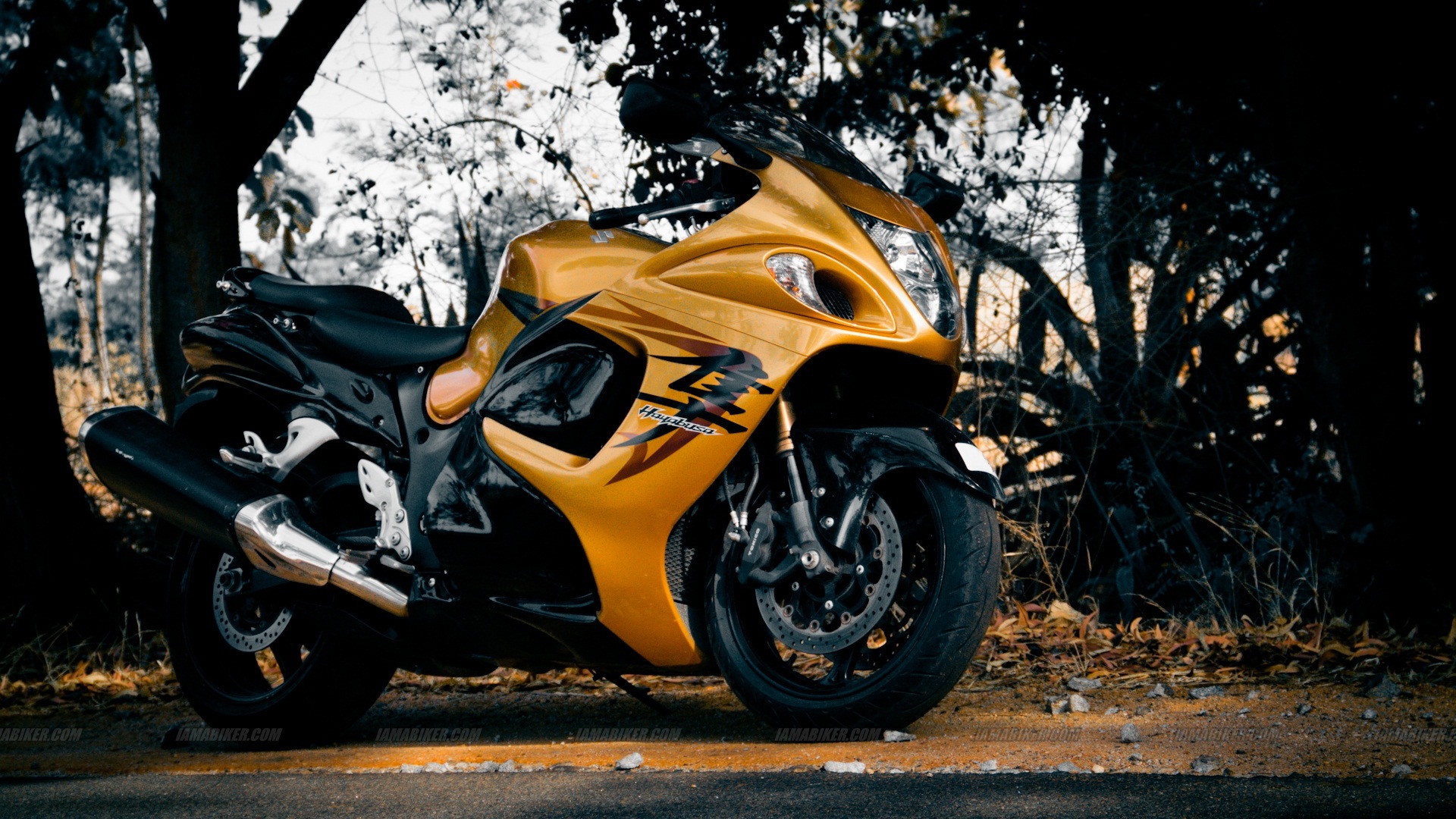 Suzuki Hayabusa Wallpapers Images Photos Pictures Backgrounds