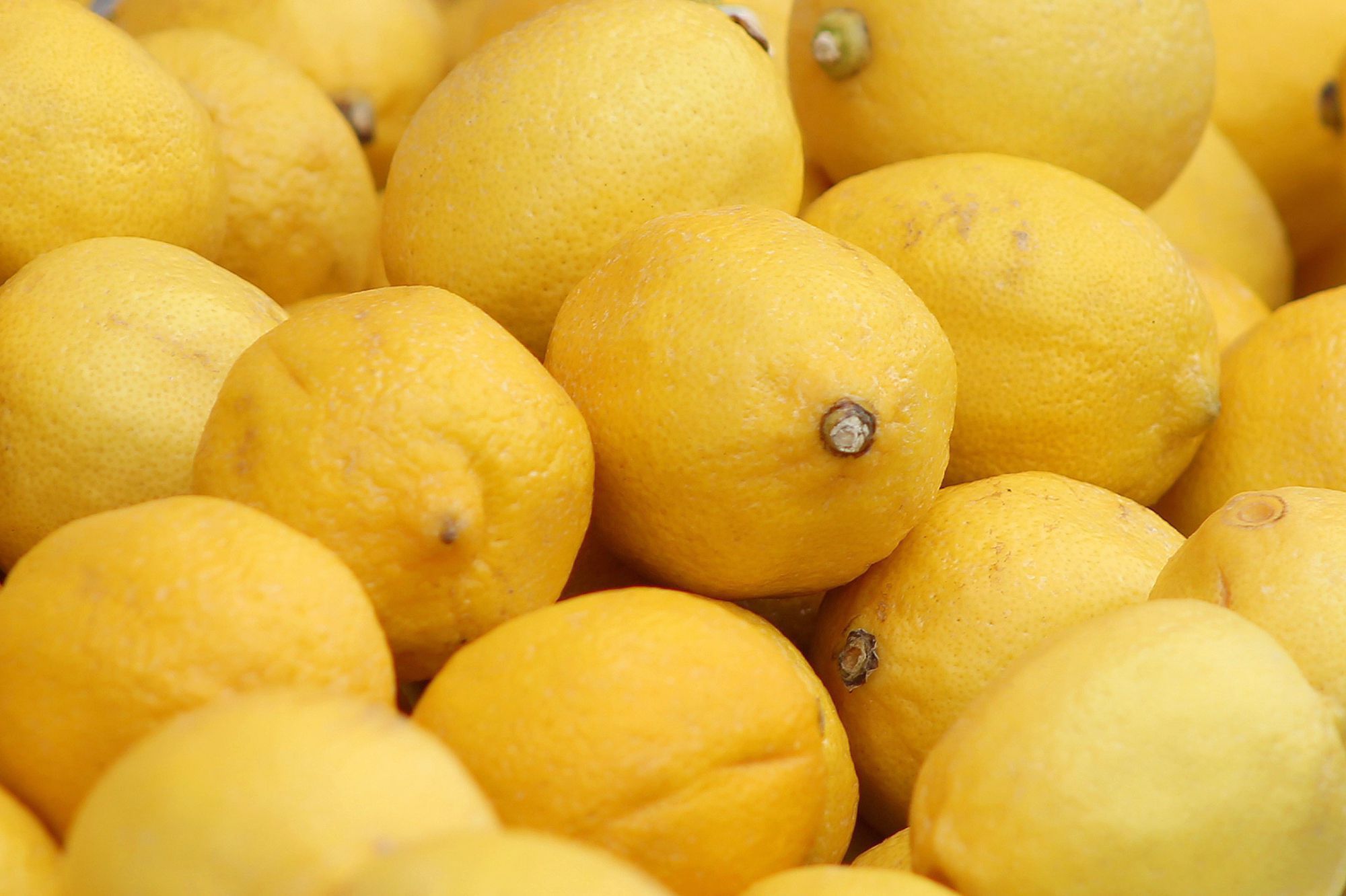 Lemon Wallpapers Images Photos Pictures Backgrounds