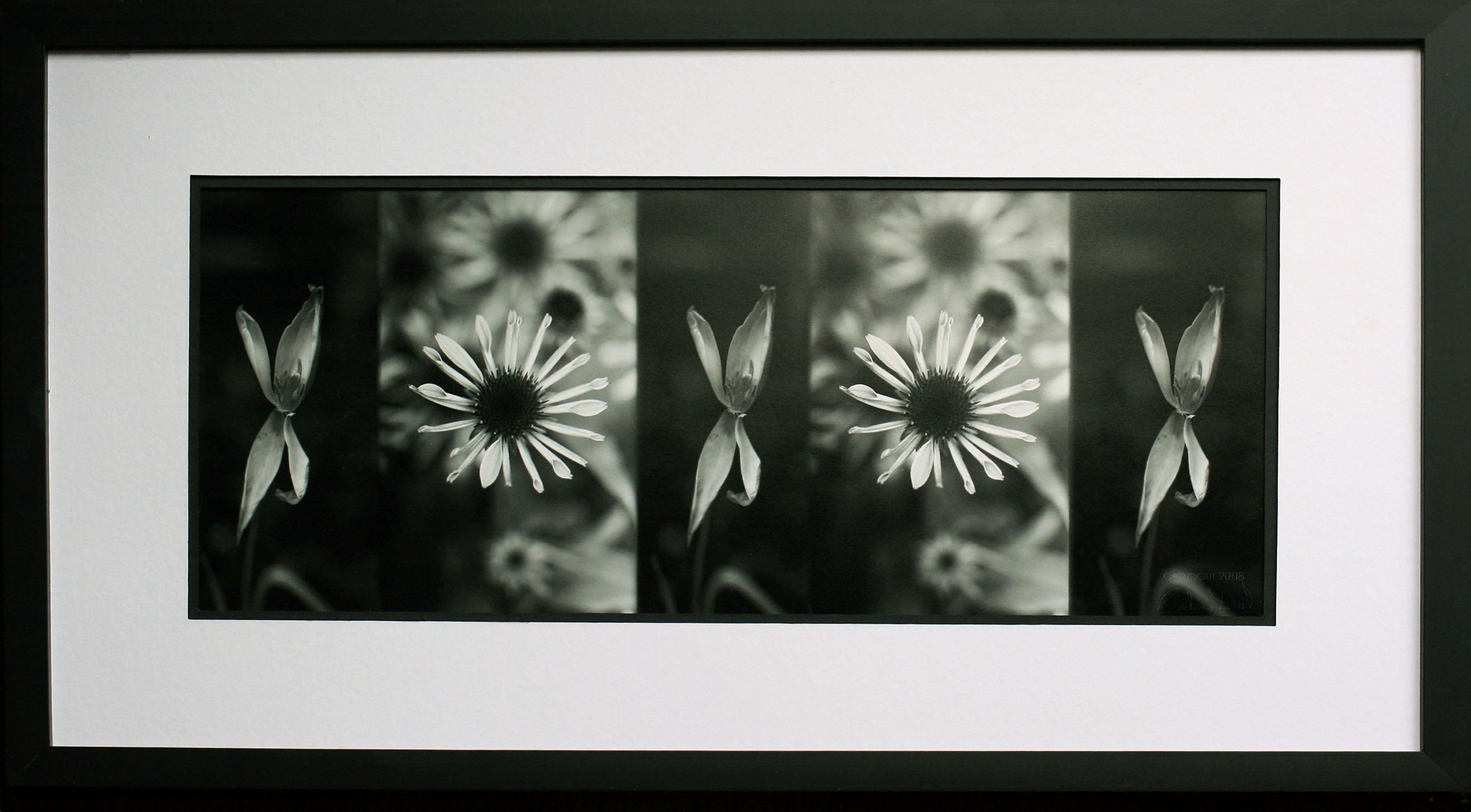 Flower Prints Framed Art Black And White High Quality In HD Wallpaper Download