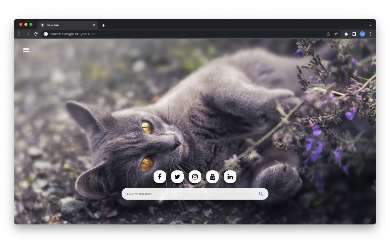 Animals Chrome Wallpapers Google Chrome Theme and Wallpaper