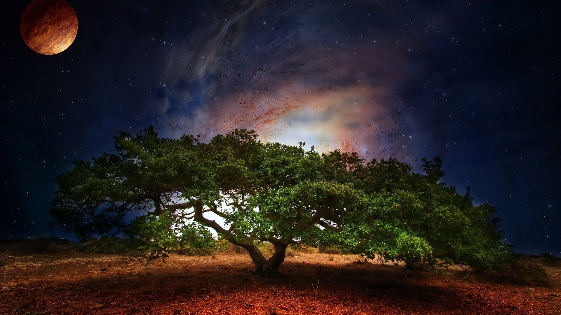 Another a Tree Wallpapers HD / Desktop and Mobile Backgrounds