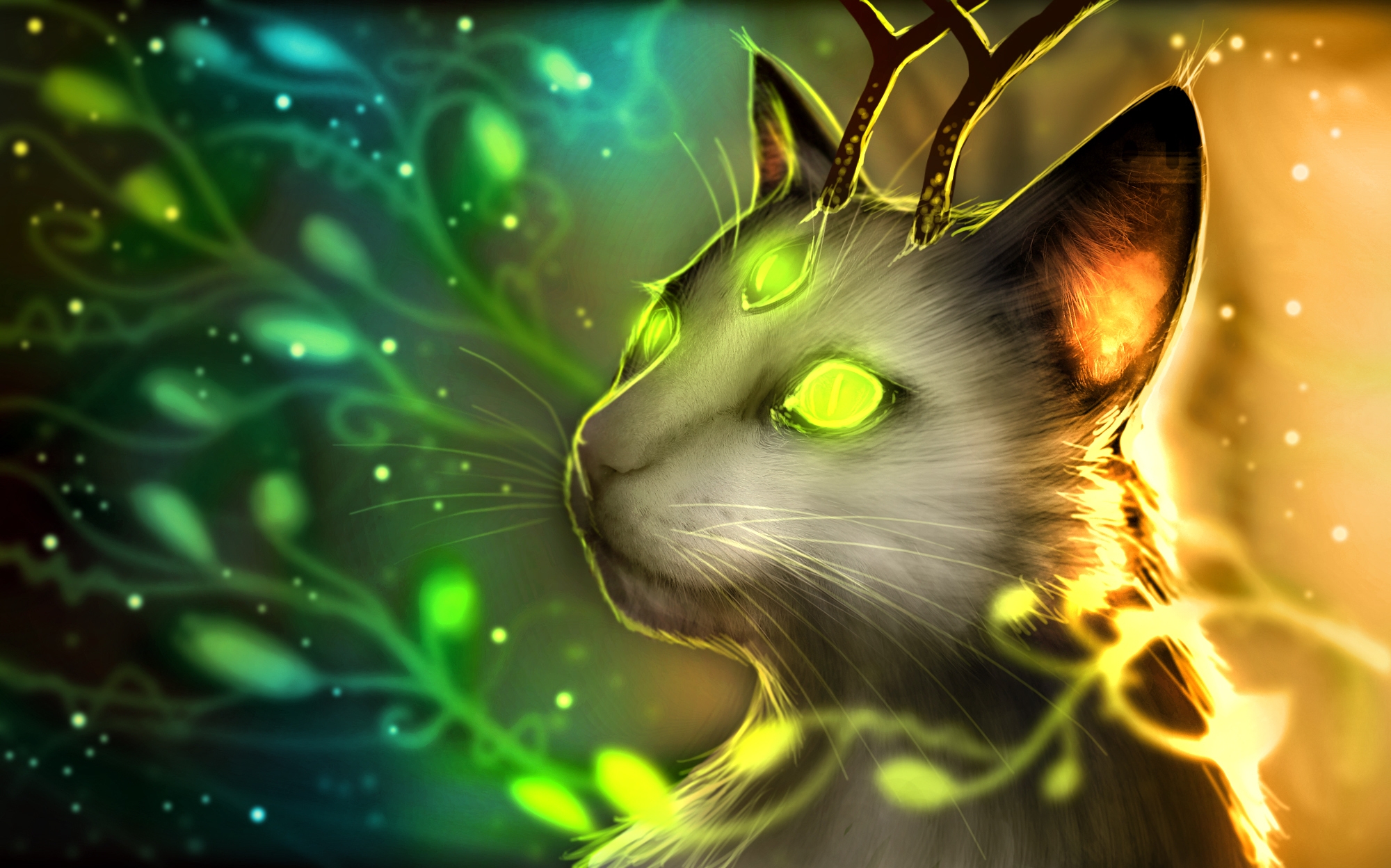 Warriors Cats Wallpaper