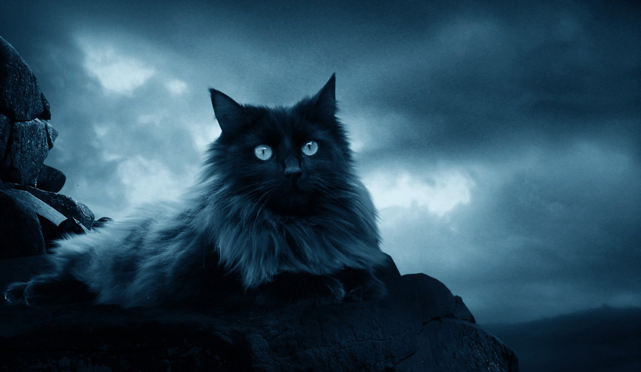Scary Eyes Wallpapers HD / Desktop and Mobile Backgrounds