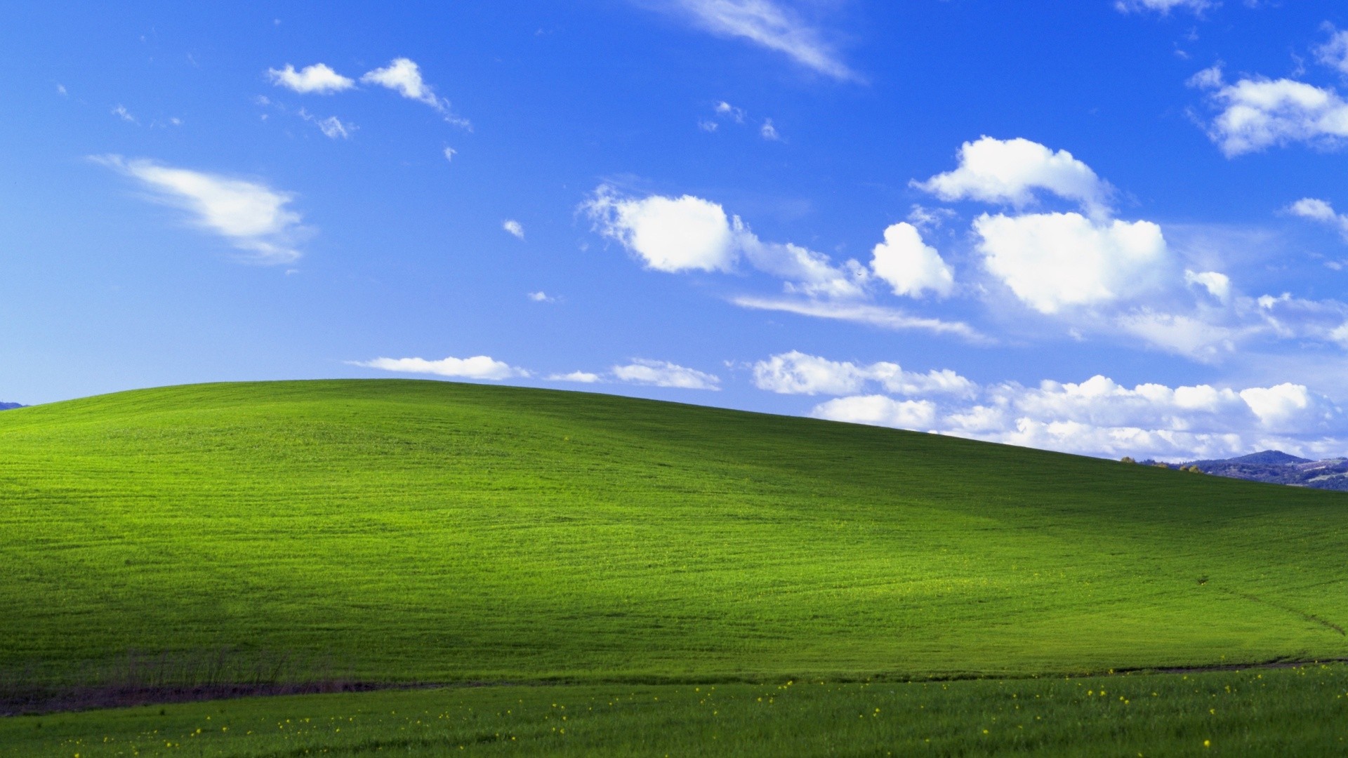 Windows XP, Garden Wallpapers HD / Desktop and Mobile Backgrounds