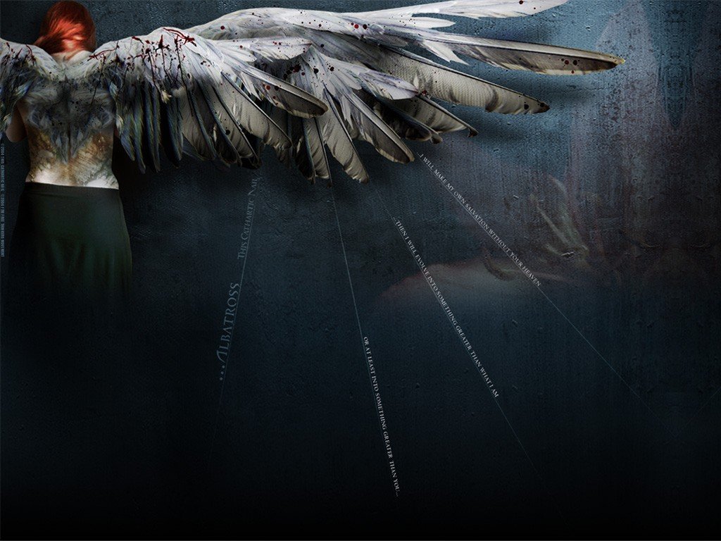 wings Wallpapers HD / Desktop and Mobile Backgrounds