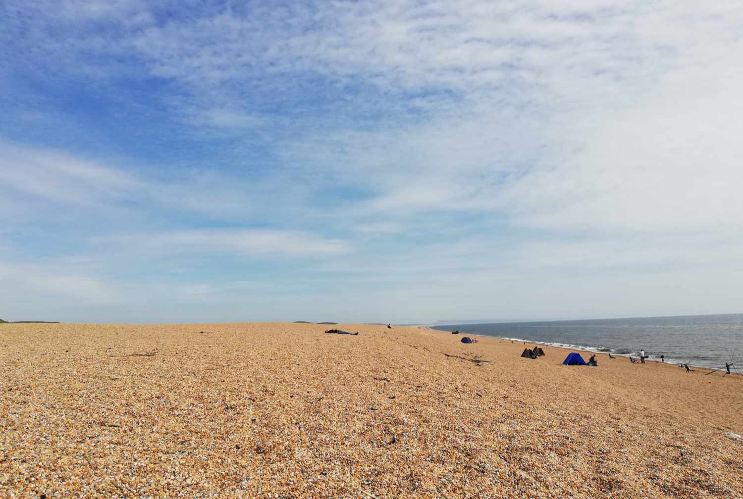Visiting Water Gardens, Abbotsbury Swannery and Abbotsbury