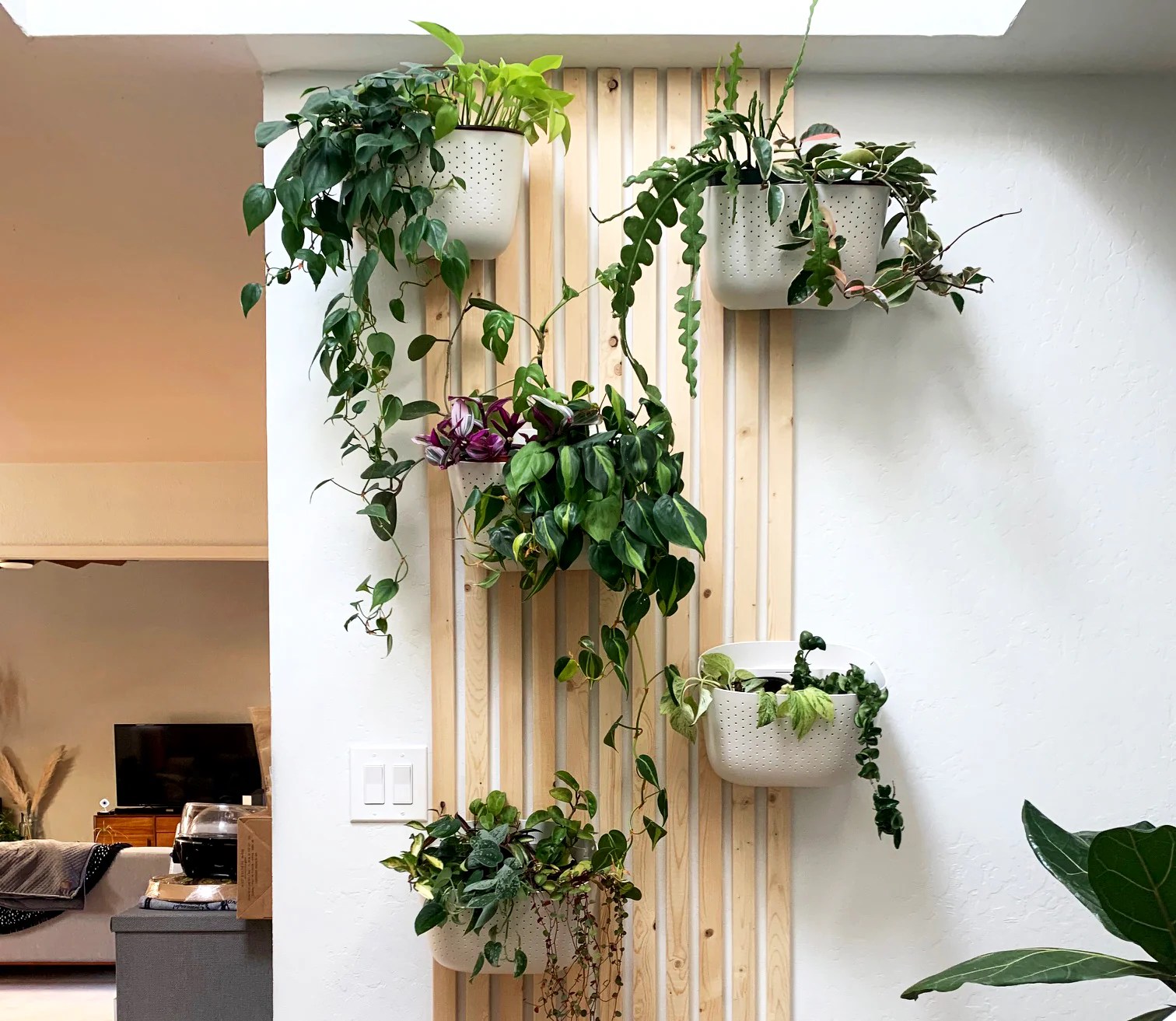 Howto DIY MidCentury Style Slatted Plant Wall WallyGrow