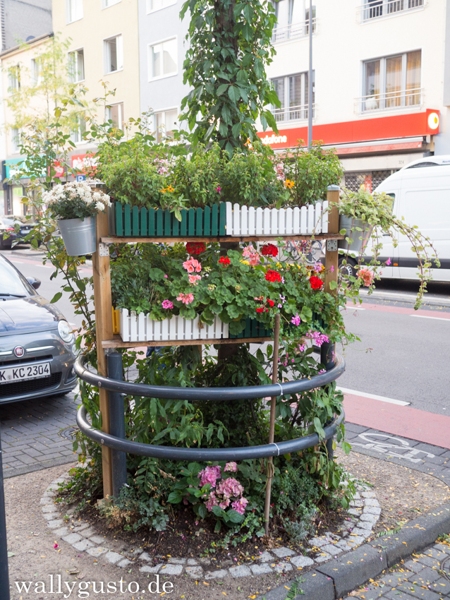 Köln Ein Wochenende in Deutschlands jeckster Stadt Wallygusto